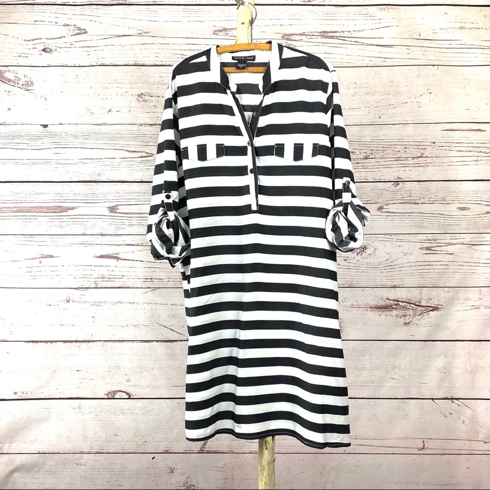 Alisha & Chloe Black & White Striped Dress